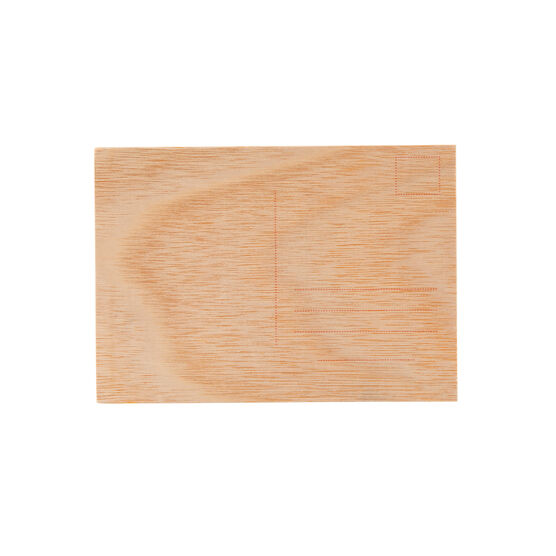 Jenny Holzer Lack of Charisma wooden postcard